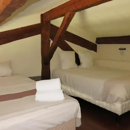 Hotel Le Logis Du Chateau Vaison-la-Romaine